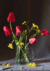 tulips and yellow flowers