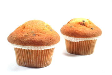 Muffins mit Schokostücken