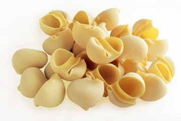 macaroni shells