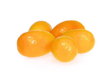 Kumquat 15