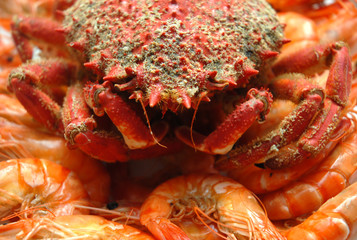centollo y gambas