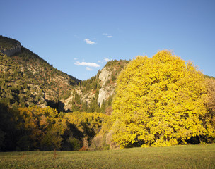 Fototapeta premium Hilly Landscape
