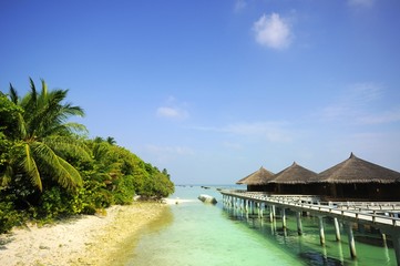 beach scene at Maldives
