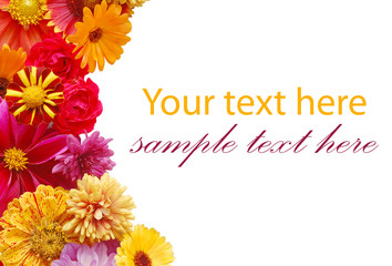 Ornament from summer beautiful flowers on a white background