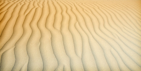 Sand dunes