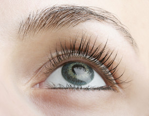 Fototapeta premium Great big eye.