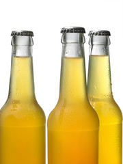 Flaschen betaut orange © fotofuerst