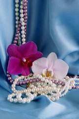 pearls necklace and orchids on blue silk