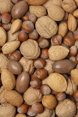 Mixed assorted nuts full frame