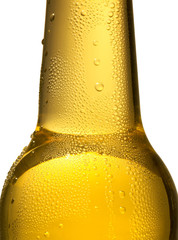 Flaschenhals betaut 1 © fotofuerst