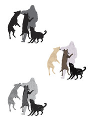 girl playing with labs, three color versions