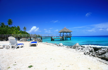 tropical island beach