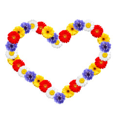 Frame of  colorful  summer flowers