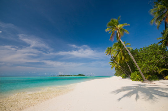 Tropischer einsamer Strand