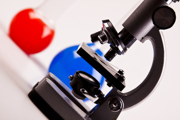 Under the microscope