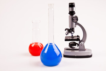 Under the microscope