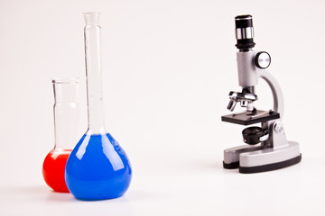 Under the microscope