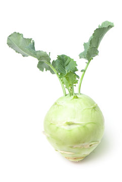 cabbage of kohlrabi