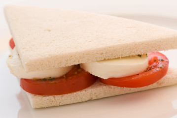 Tomaten Mozzarella Panini