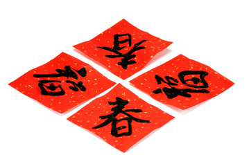 Chinese lunar new year celebration