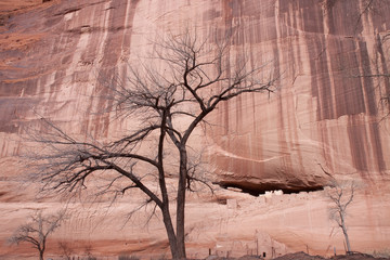 Magical historical canyon in Navajo land