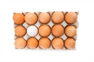 Stand out of crowd concept with eggs on white