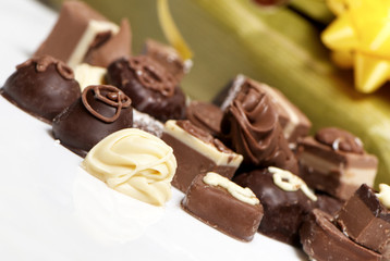 delicious chocolate pralines