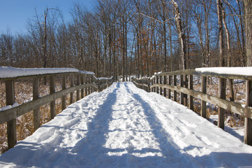 Snowy Trail