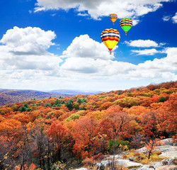 The foliage scenery from the top of Bear Mountain