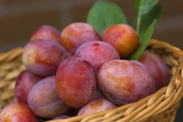 Plum