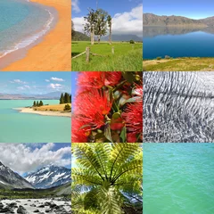 Foto op Canvas Couleurs de la nature de Nouvelle Zélande © Delphotostock