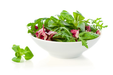 Fresh salad leaves