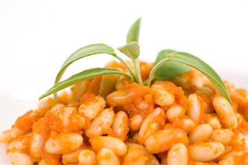 sfagioli all'uccelletto