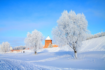 tree in snow