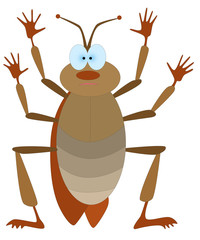cockroach
