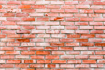 brick wall