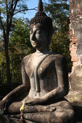 Buddha 7