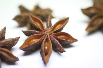sternanis © chetianu