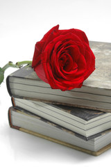 Books and rose