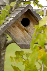 Birdhouse