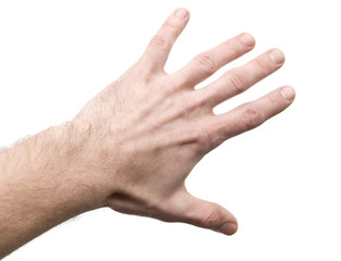 hand on white background 18