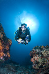 Plongeuse le long du récif, photo sous marine, Lembeh, IndonŽsie