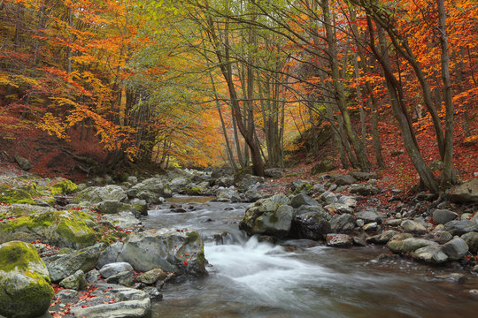 Autumn river