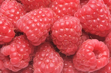 raspberry