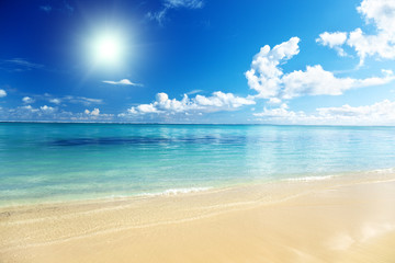 Fototapeta na wymiar Piasek z plaży morze karaibskie