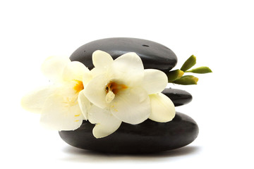 Fototapeta na wymiar black stones and white flower