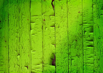 erosive green wooden panel
