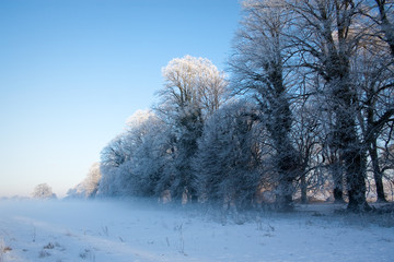 Castletown House Snow 7