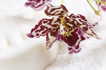 Spa items with white towels, natural soap and orchid