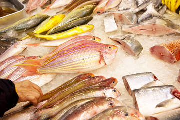 whole fresh fishes are offered in the fish market in asia